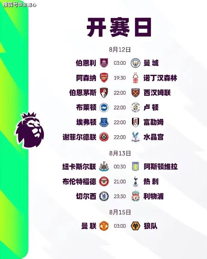 迷人的保姆2