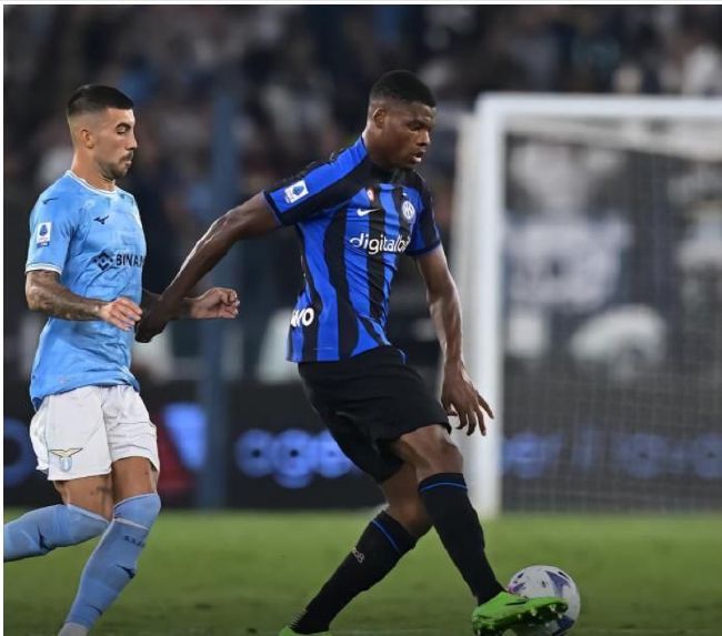活泼的旅社黑凤梨