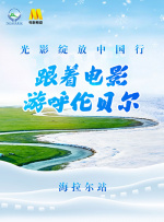 我与公的激情乱浪