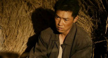 在哪看