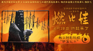 y乱的布兰卡