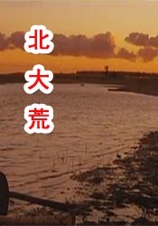 伊人久久大香线蕉综合高清
