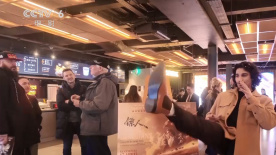 天翼鸟
